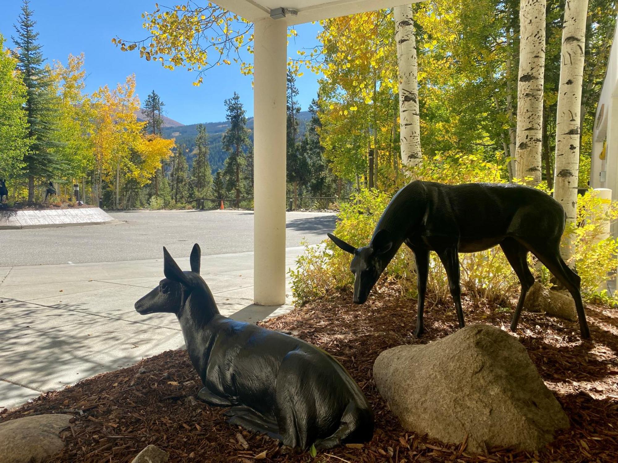 Wild Irishman 1043 By Summitcove Lodging Keystone Buitenkant foto